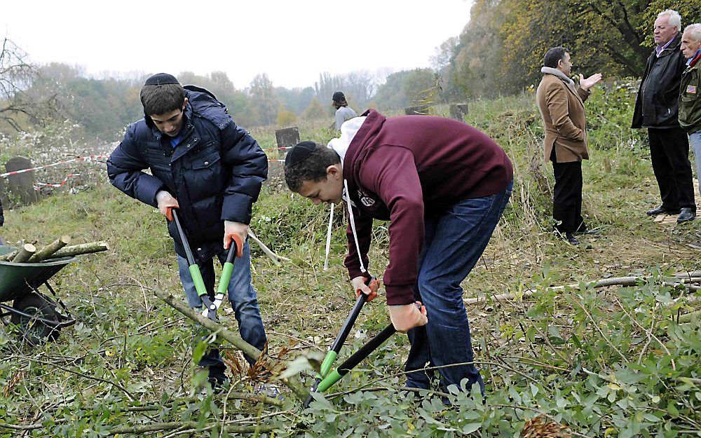 Laat jonge Joden en Marokkanen Joodse grafzerken schoonboenen. Met deze onorthodoxe aanpak scoort een groepje idealistisch Joden en Marokkanen in het Amsterdamse stadsdeel Oost.  Foto Sjaak Verboom