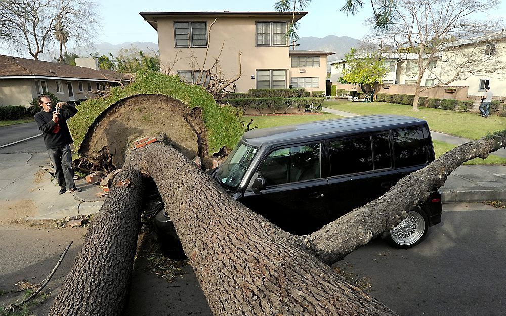 Arcadia, California. Foto EPA