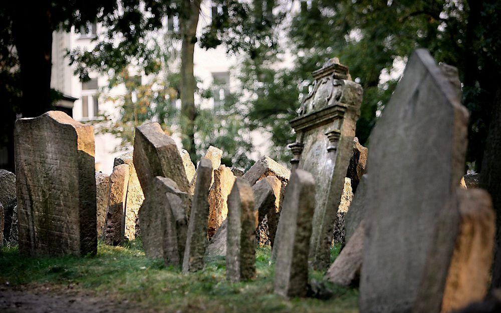 „Iemand als Calvijn heeft sterk benadrukt dat heel ons leven in het teken van de overdenking van het toekomende leven moet staan.” Foto RD, Henk Visscher