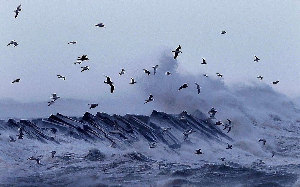 Storm bij IJmuiden.  Foto ANP