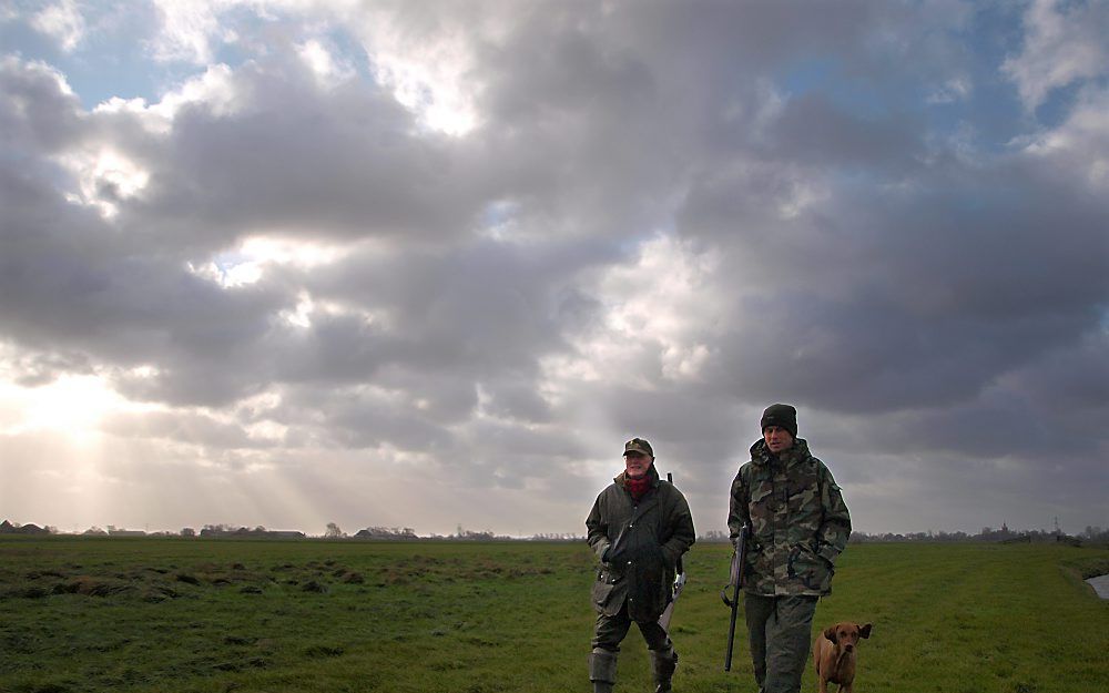 Chris Siebert en Arjan van der Laan speuren naar ganzen op een grasland bij Broek op Langedijk. Jachthond Villàm, een Hongaarse vizsla, doet enthousiast mee. Foto Felix de Fijter