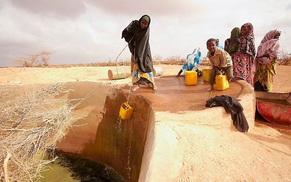 AMA QAMAR – In de stoffige woestijn van Somaliland zijn dieren van levensbelang voor de rondtrekkende boeren. Foto Jaco Klamer