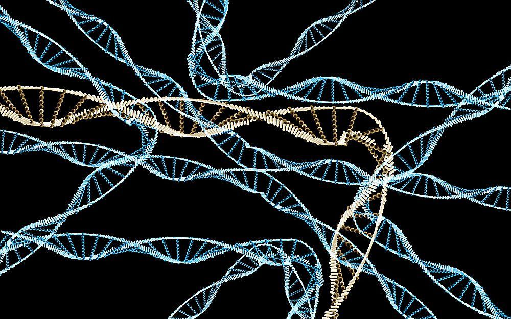 DNA. beeld Fotolia