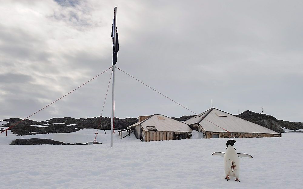 Antarctica. Foto EPA