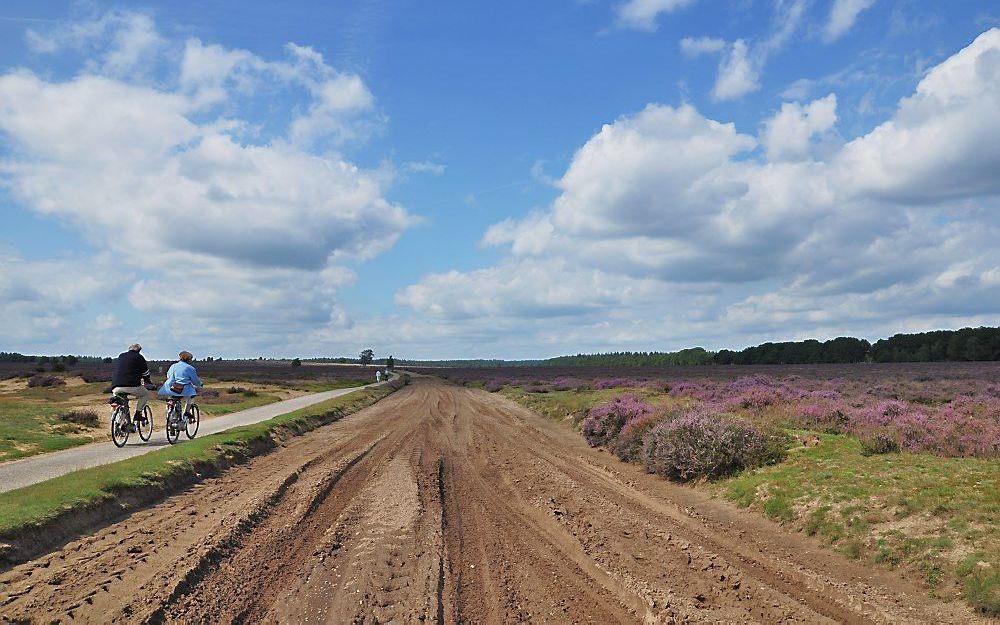 EDE – De Hessenweg, die bij Ede dwars over de Ginkelse Hei loopt, was eeuwenlang een populaire handelsroute voor voerlui uit het Duitse graafschap Hessen. Foto Louis Fraanje