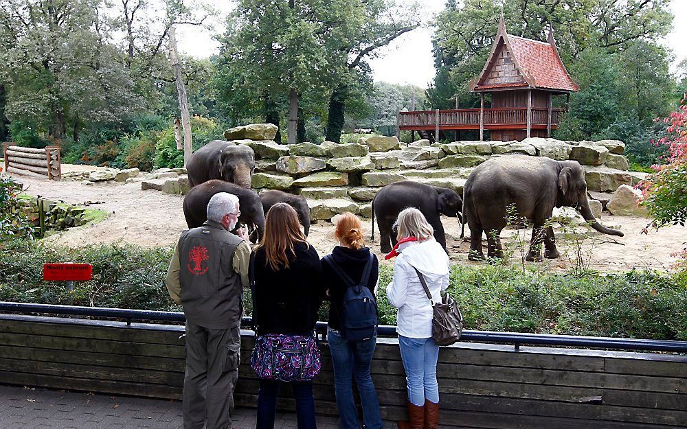 Dierenpark Emmen. Foto ANP