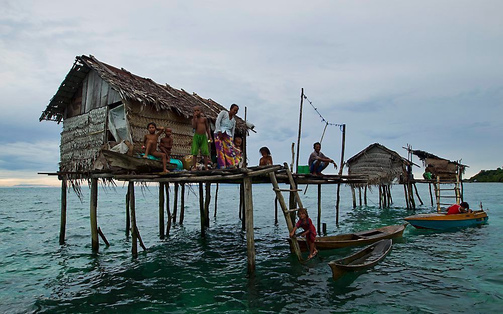 Borneo. Foto EPA