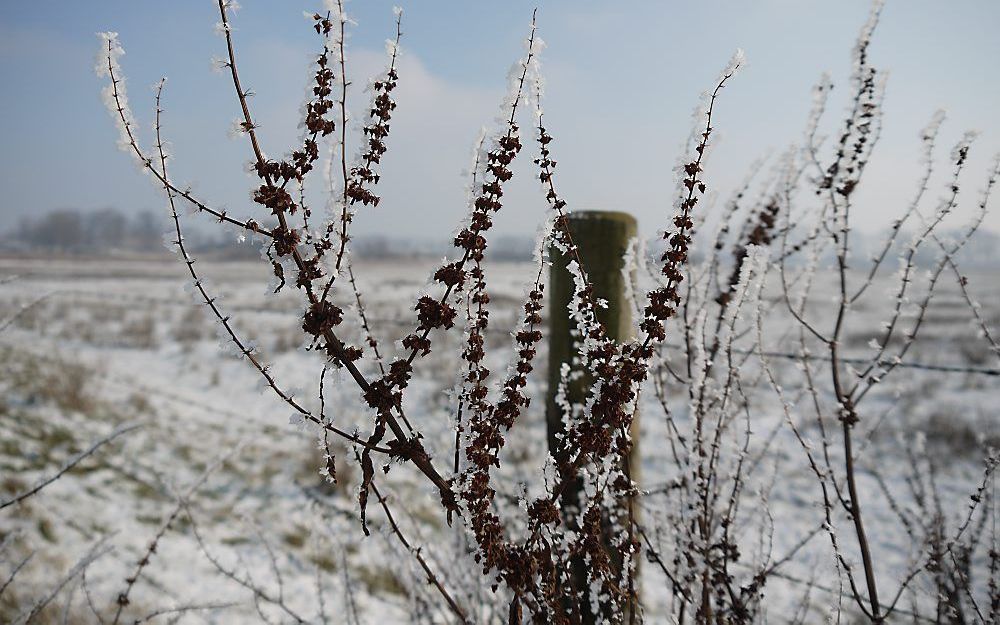 Zwaakse Weel, 's Gravenpolder. Foto Arnoud Walhout