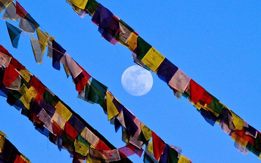 De 72-jarige landbouwer Chandra Bahadur Dangi uit Nepal is ervan overtuigd dat hij de kleinste mens ter wereld is.  Foto EPA