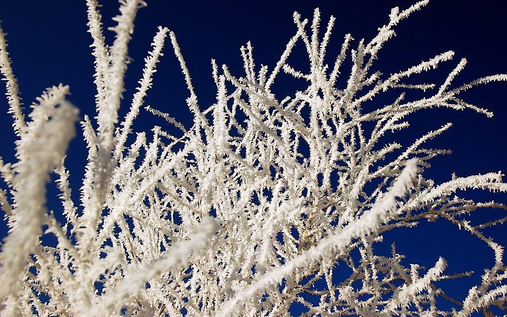 Gebruik een polarisatiefilter om de blauwe lucht intenser te maken. Foto Wessel van Binsbergen