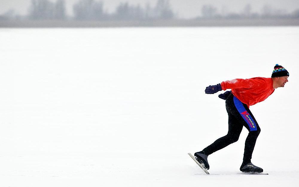 Oostvaardersplassen. Foto ANP