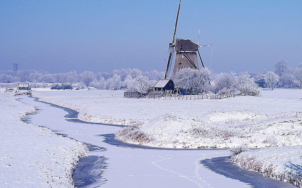 Kinderdijk. Foto Leendert Visser