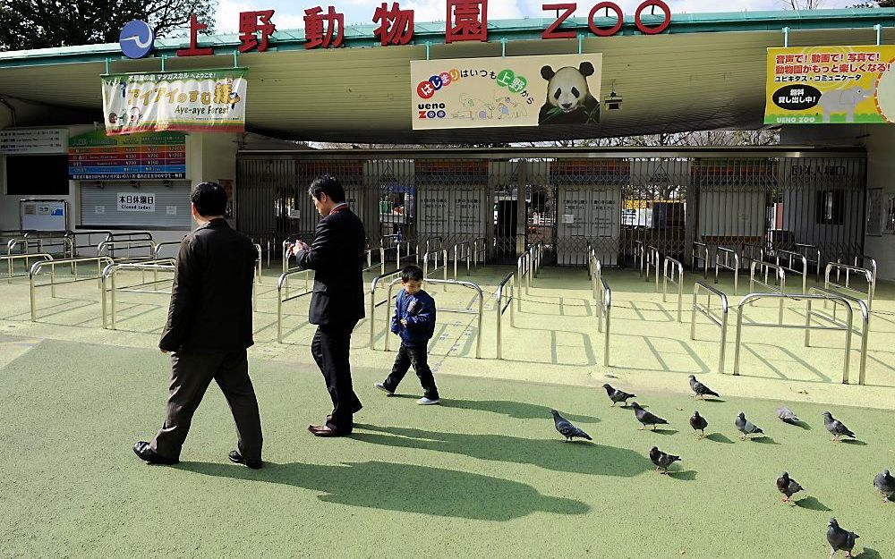 Ueno Zoo in Tokyo. Foto EPA