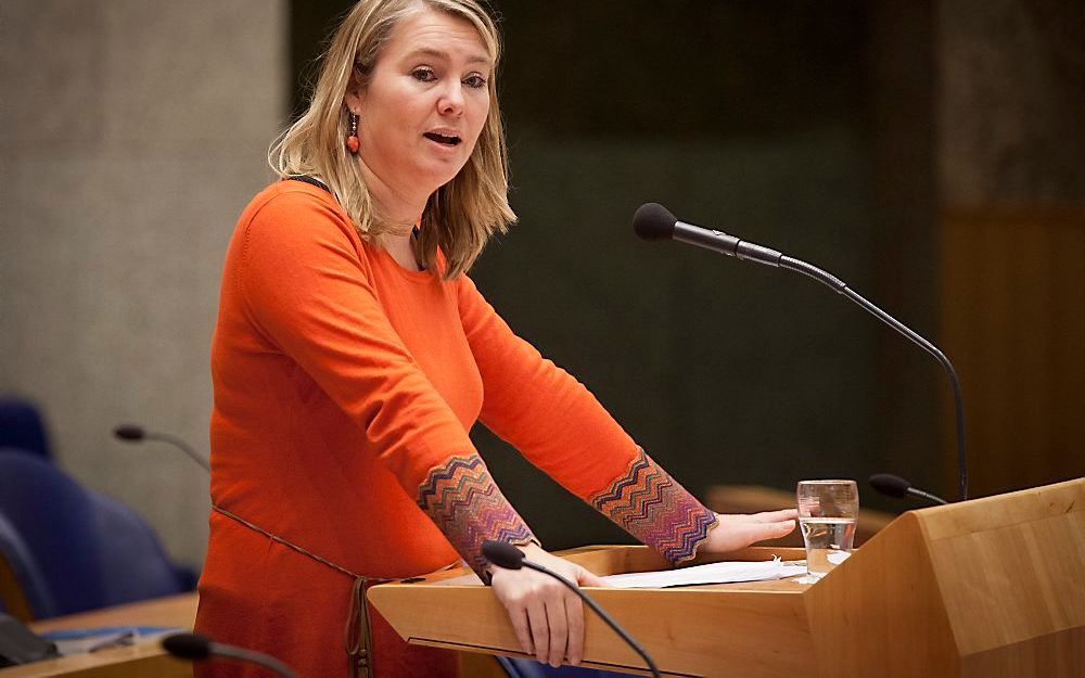 Minister Schultz van Haegen (Verkeer).  Foto ANP