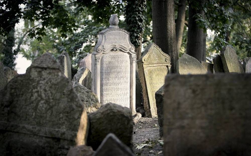 Vluchtend voor de dood droomt men in een geseculariseerde samenleving wat af over eeuwig leven. Foto RD, Henk Visscher