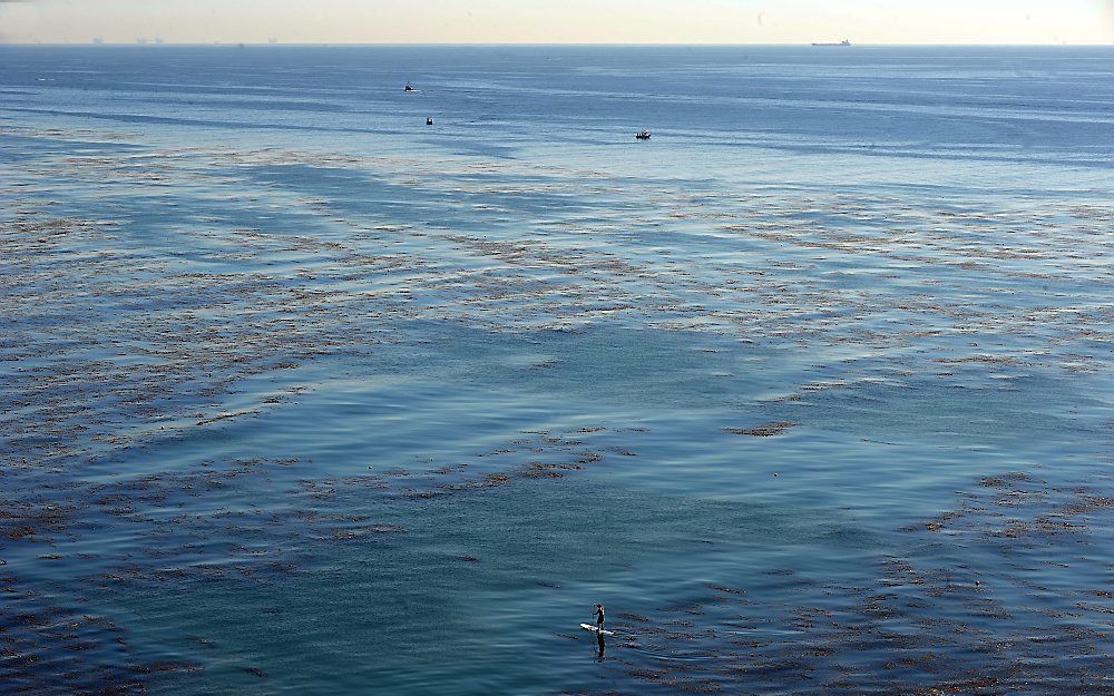 Stille Oceaan. Foto EPA