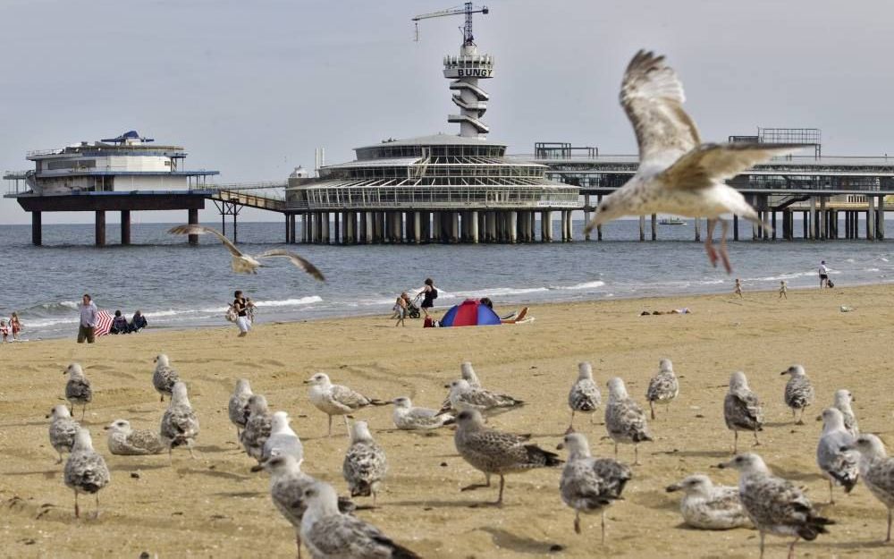 DEN HAAG – De Pier van Scheveningen gaat in de verkoop, werd gisteren bekend. Ruim 20 jaar is het karakteristieke bouwwerk in handen geweest van de horecafamilie Van der Valk. Foto ANP