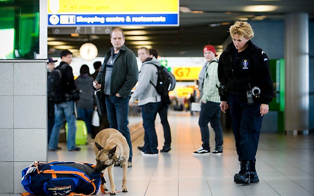 Een zogenaamde explosieven hond controleert bagage op Schiphol. Foto ANP