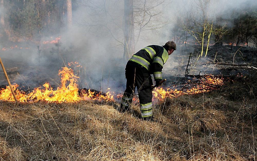 Grote heidebrand in natuurgebied Waalre. Foto ANP