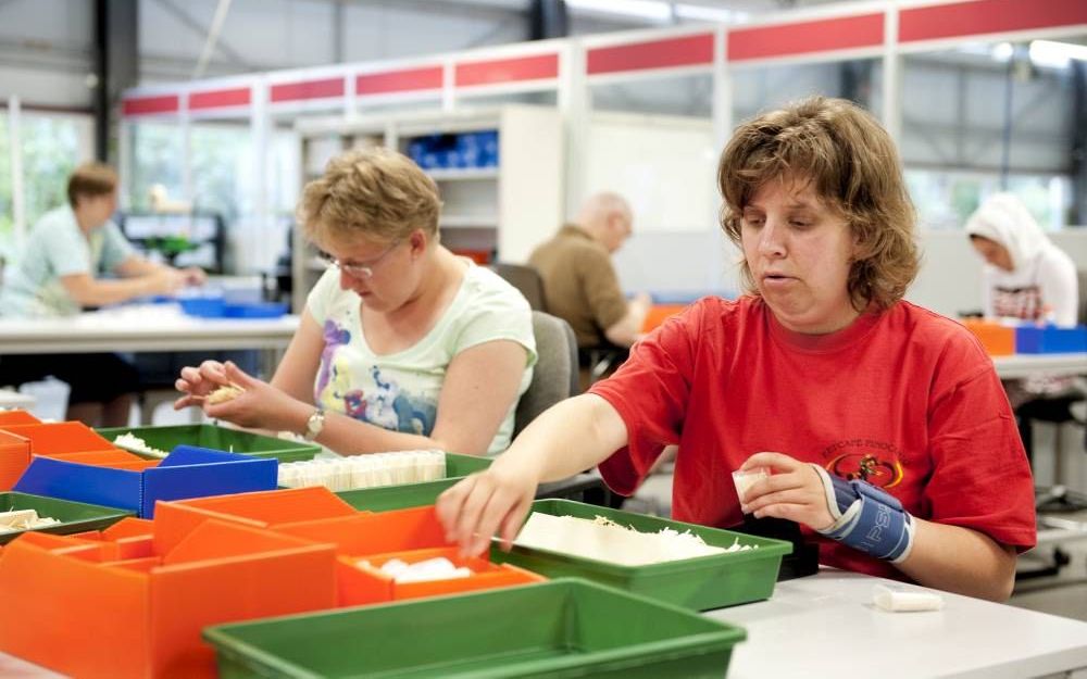 Wajongers aan het werk in een sociale werkplaats. Foto ANP