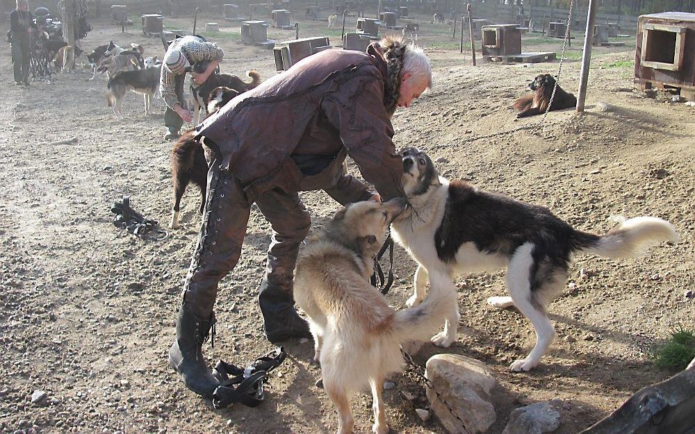 De sledehonden staan te trappelen om te gaan. Foto Henk Monster