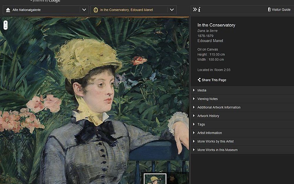 Schilderij 'Im Wintergarten' van Edouard Manet in Google Art. Beeld Wikipedia, Ireas