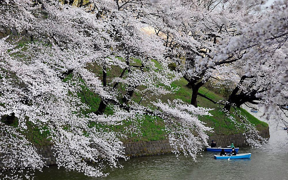 Tokio, Japan. Foto EPA