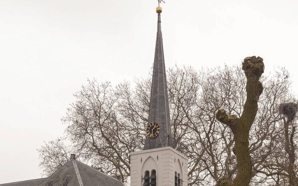 Kerktoren Meerkerk. Foto André Dorst