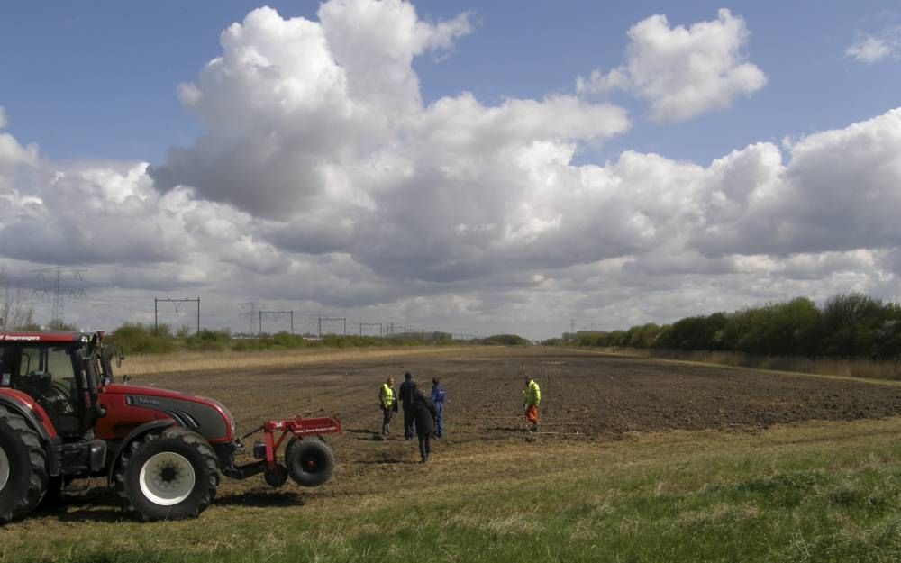 Tussen de snelweg A58 en de Oude Rijksweg ten oosten van het Zeeuwse Rilland wordt een biomassaplantage aangelegd. Foto Rijkswaterstaat