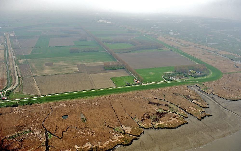 Luchtfoto van de Hedwigepolder. Foto ANP