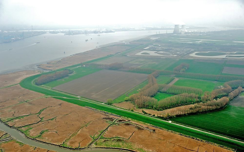 De Hedwigepolder in Zeeuws-Vlaanderen. Foto ANP