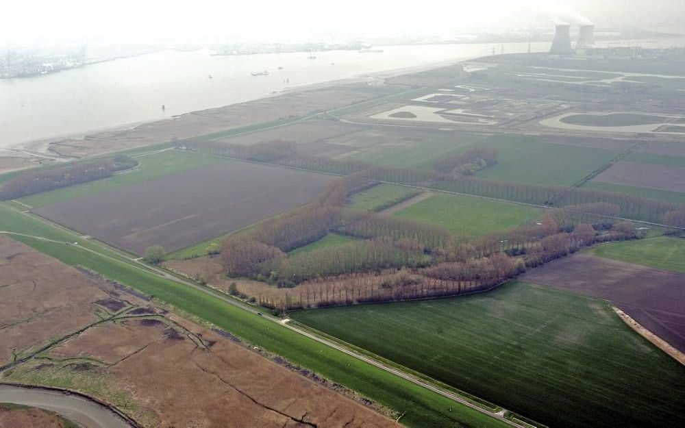 De Hedwigepolder. Foto ANP