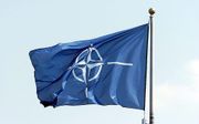 NAVO-vlag. beeld RD