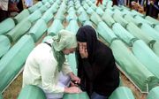 Nog altijd heeft het Joegoslaviëtribunaal nog niemand in een definitief vonnis veroordeeld voor genocide in Srebrenica. Bij volkerenmoord gaat het niet om de schaal van de massamoord, maar om het doel een volk uit te moorden. Mladic wordt ervan beschuldig