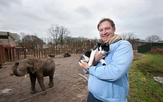 Dirk-Jan van der Kolk, manager dierverzorging bij Ouwehands Dierenpark in Rhenen, met Fanta. De kat jaagt in het olifantenverblijf op muizen. Foto Herman Stöver