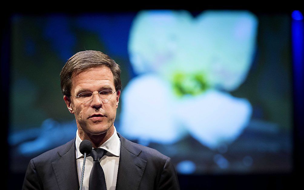 Premier Rutte. beeld ANP