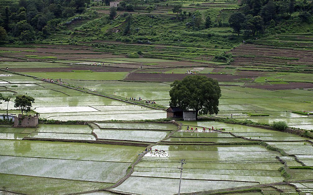 Nepal.  beeld AFP, Prakash Mathema