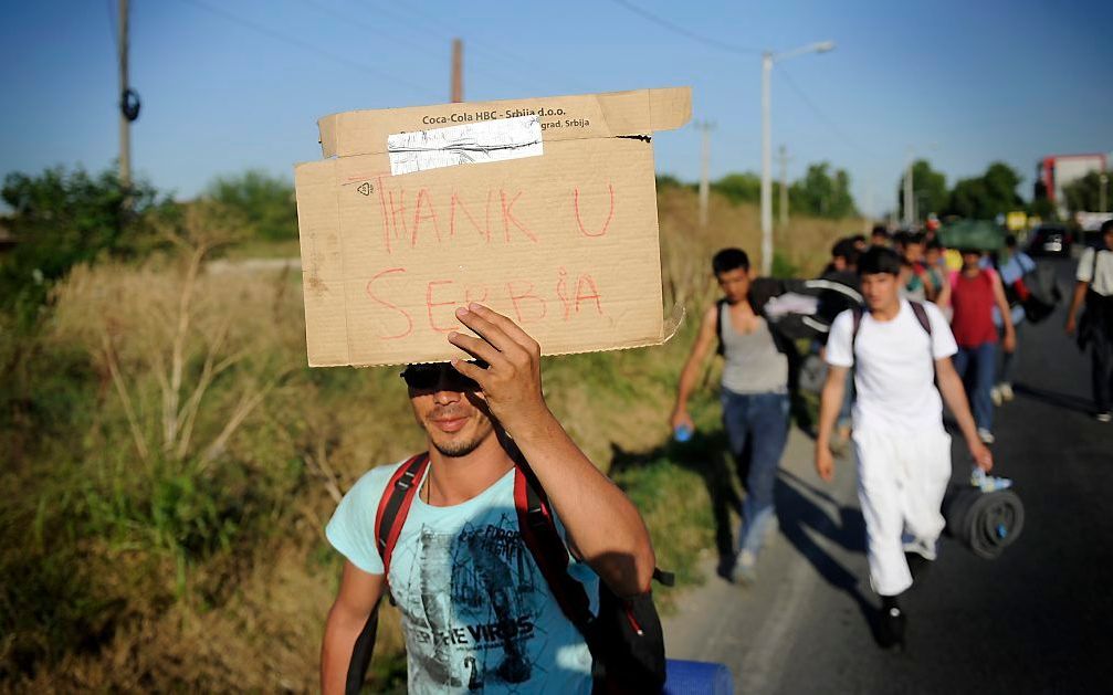 Vluchtelingen onderweg bij Belgrado. beeld AFP