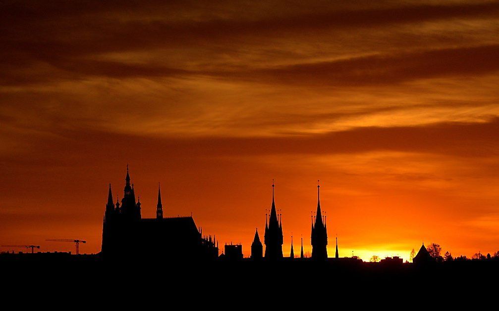 De Vituskathedraal in het Tsjechische Praag.  beeld AFP