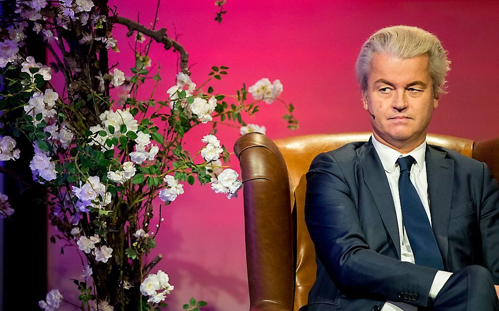 Wilders. beeld ANP