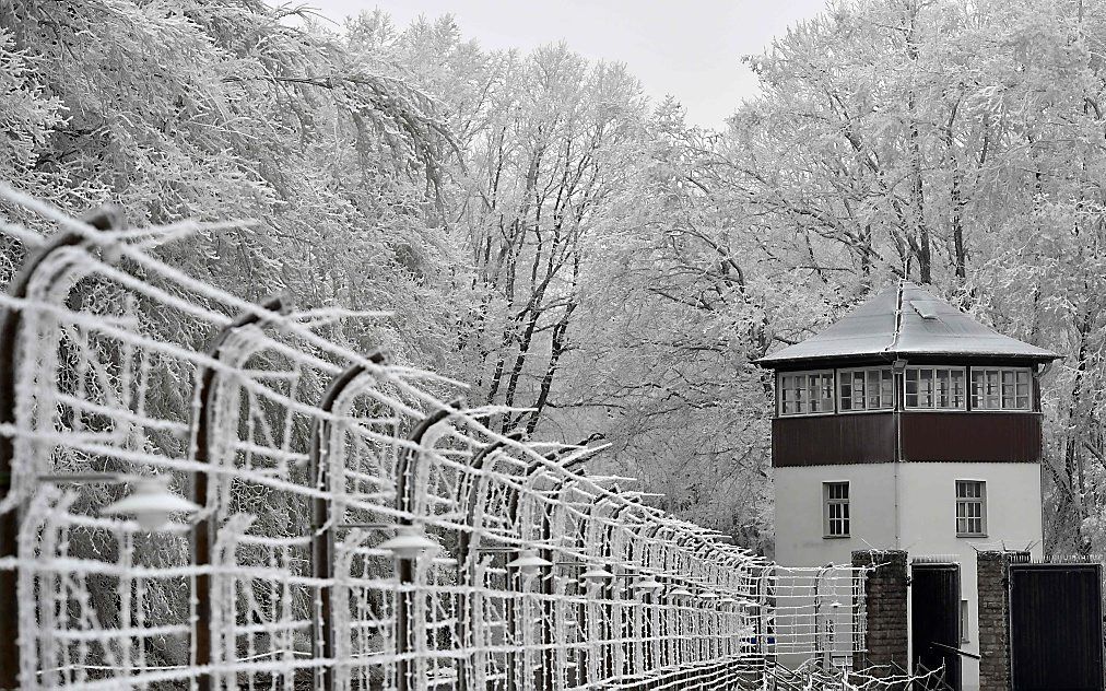 Roemrijk Duits verleden telde in Buchenwald meer dan een mensenleven. Meer dan 280.000 mensenlevens. beeld AFP