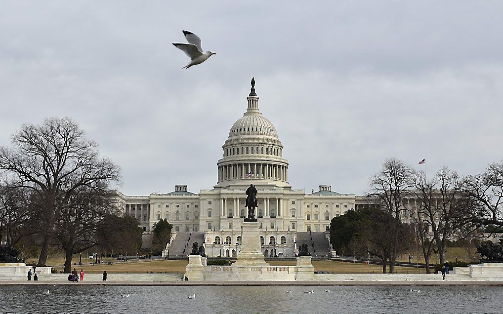 Trump is blij dat de Democraten in het Congres weer bij zinnen zijn gekomen. beeld EPA