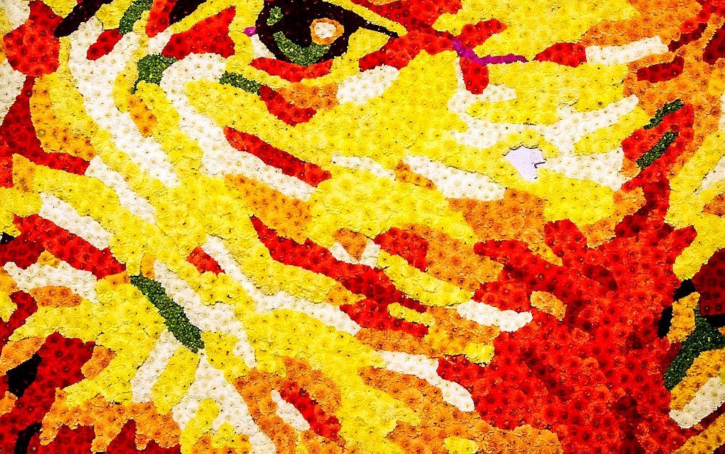 Een close-up uit het zelfportret van Vincent van Gogh bestaande uit dahlia's tijdens de presentatie van het programma voor het Van Goghjaar in 2015. beeld ANP