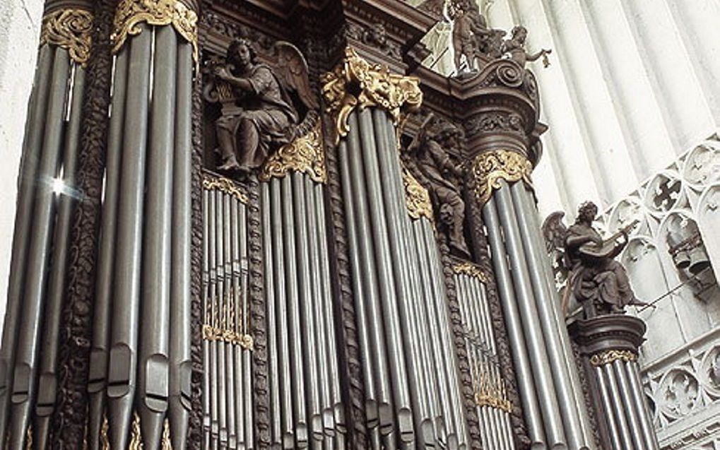 Het Schyvenorgel in de kathedraal van Antwerpen. beeld Wikimedia