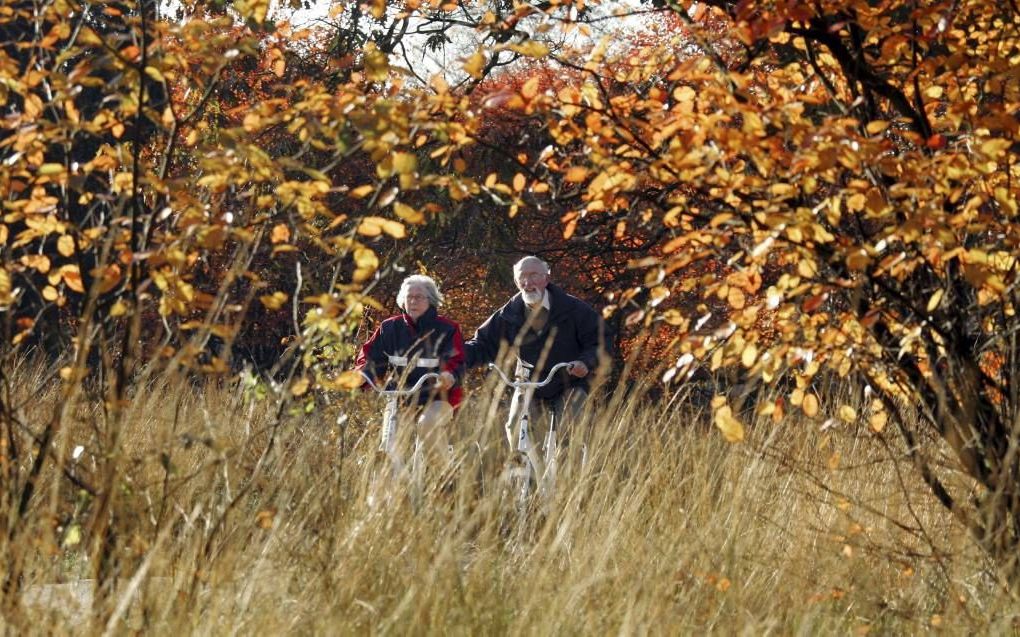 De Veluwe is al lang niet meer nummer 1 als Nederlandse vakantiebestemming. beeld ANP