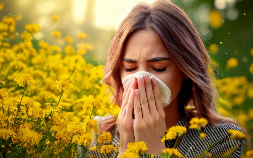 Bij hooikoorts krijg je een allergische reactie op in de lucht zwevende pollen van bloemen en grassen