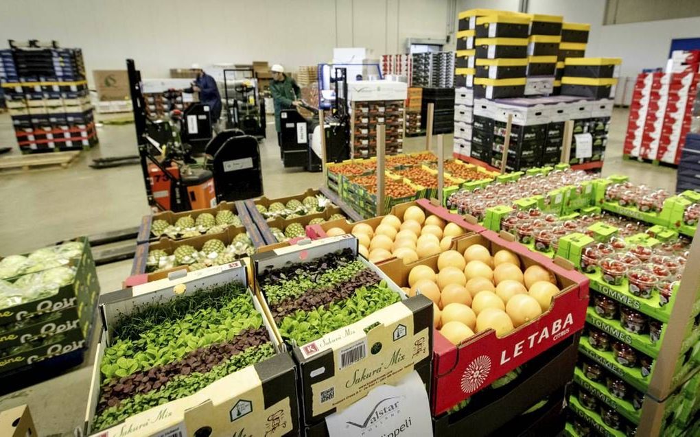 Medewerkers van ABC Logistics maken kisten met groenten en fruit gereed voor de export. De Nederlandse export van landbouwproducten is vorig jaar gestegen naar het recordniveau. beeld ANP, Robin van Lonkuijsen