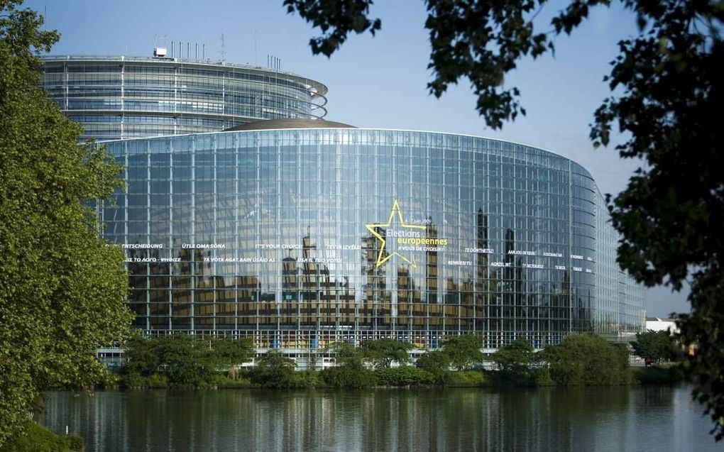 Het Europees Parlement in Straatsburg. beeld EPA