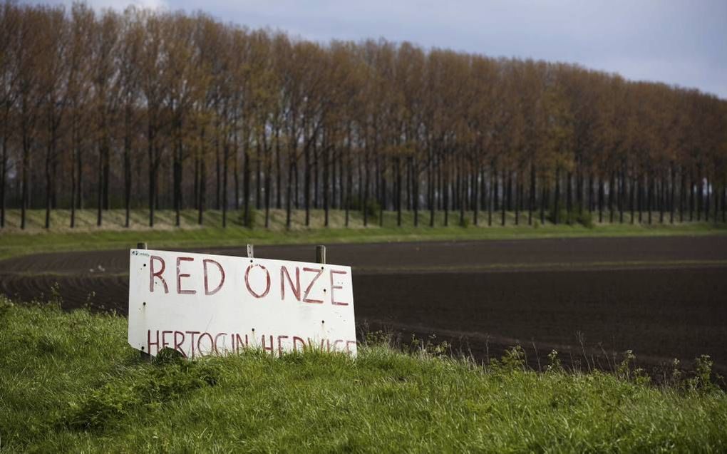 De Hertogin Hedwigepolder. beeld ANP