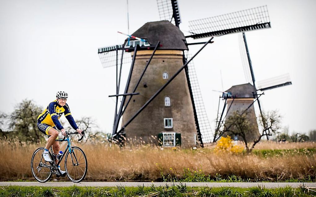 Molens in Kinderdijk. beeld ANP